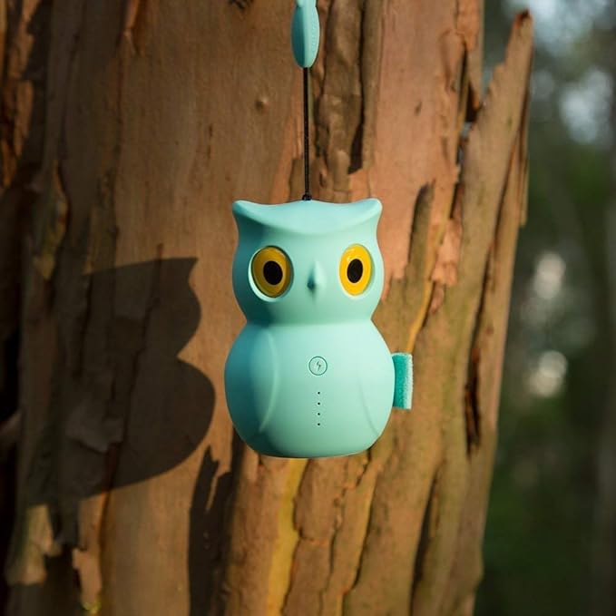 ROMOSS 5200mAh Power Bank, Perfect Owl Personalized Gift, 2.1A Output Portable Charger for iPhone, Samsung and Other Smartphones (Mint Green)